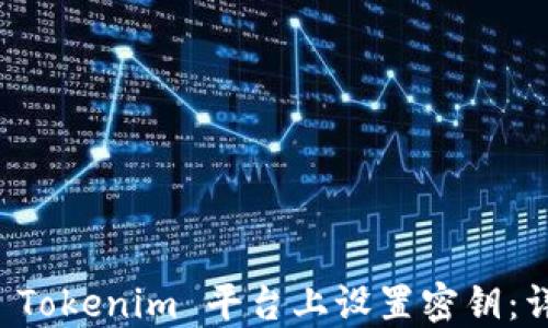 
如何在 Tokenim 平台上设置密钥：详细指南