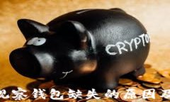 探讨TokenIM中观察钱包缺失的原因及其