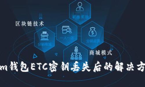 Tokenim钱包ETC密钥丢失后的解决方案详解