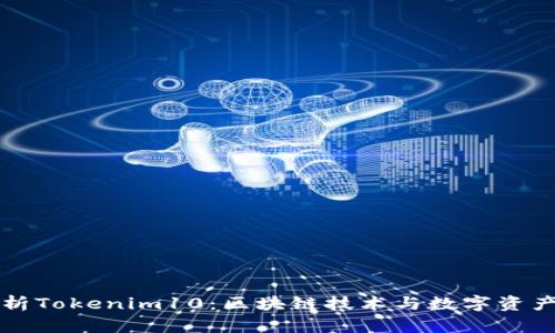 深入剖析Tokenim10：区块链技术与数字资产的未来