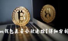 Tokenim钱包是否会被追踪？详细分析与解答