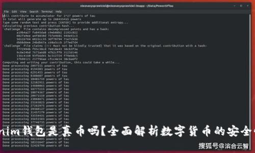  能转入Tokenim钱包是真币吗？全面解析数字货币的安全性与钱包选择