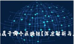 Tokenim属于哪个区块链？深度解析与应