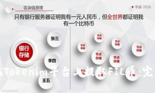 如何在Tokenim平台上提取FIL币：完整指南